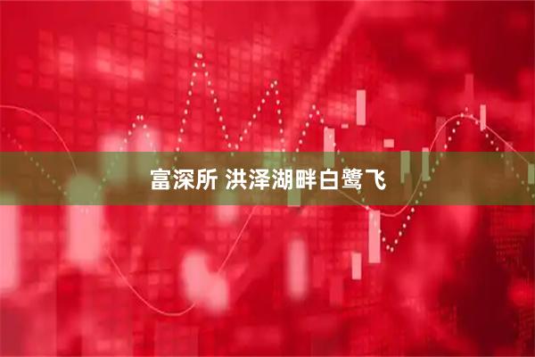 富深所 洪泽湖畔白鹭飞