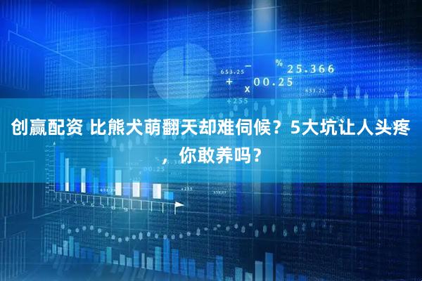 创赢配资 比熊犬萌翻天却难伺候？5大坑让人头疼，你敢养吗？