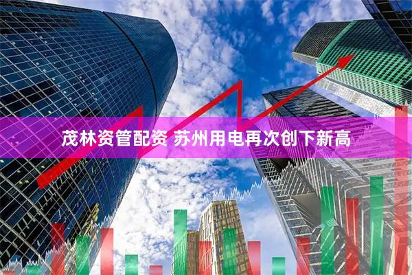 茂林资管配资 苏州用电再次创下新高