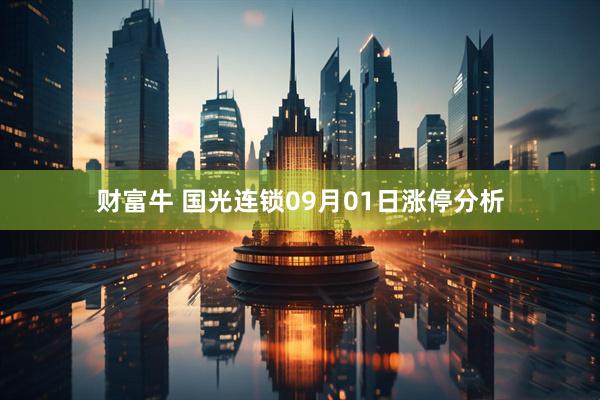 财富牛 国光连锁09月01日涨停分析