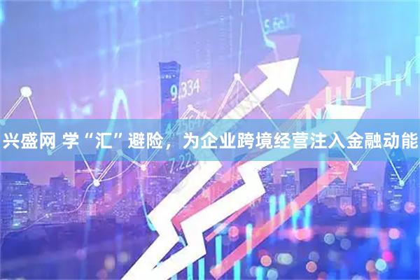 兴盛网 学“汇”避险，为企业跨境经营注入金融动能